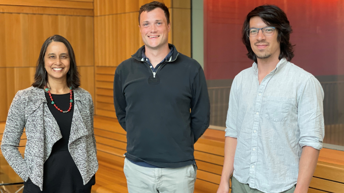  PNI Innovator Awards Spur New Research on AI, the Brain, and Hormones